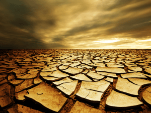 desert-1